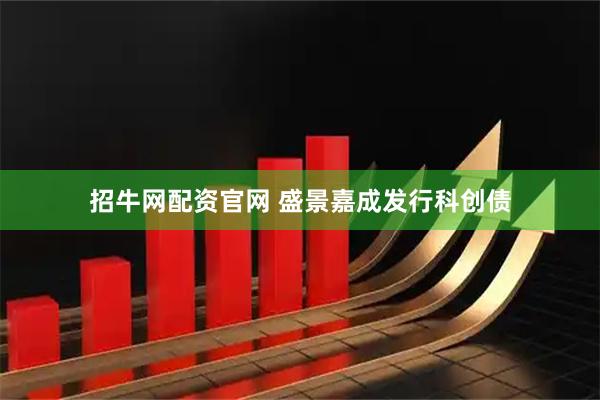 招牛网配资官网 盛景嘉成发行科创债